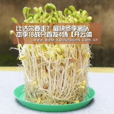 开云体育