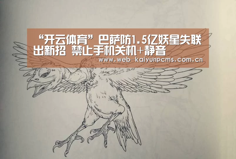 开云体育