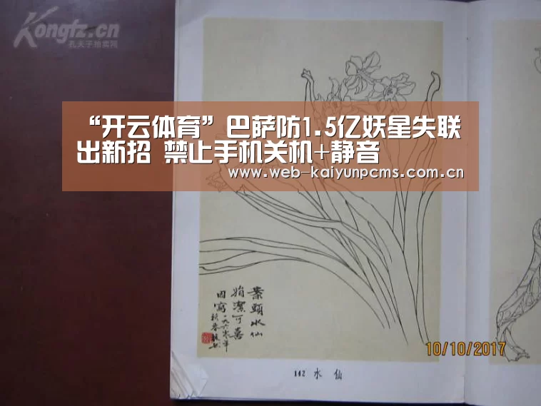 开云体育