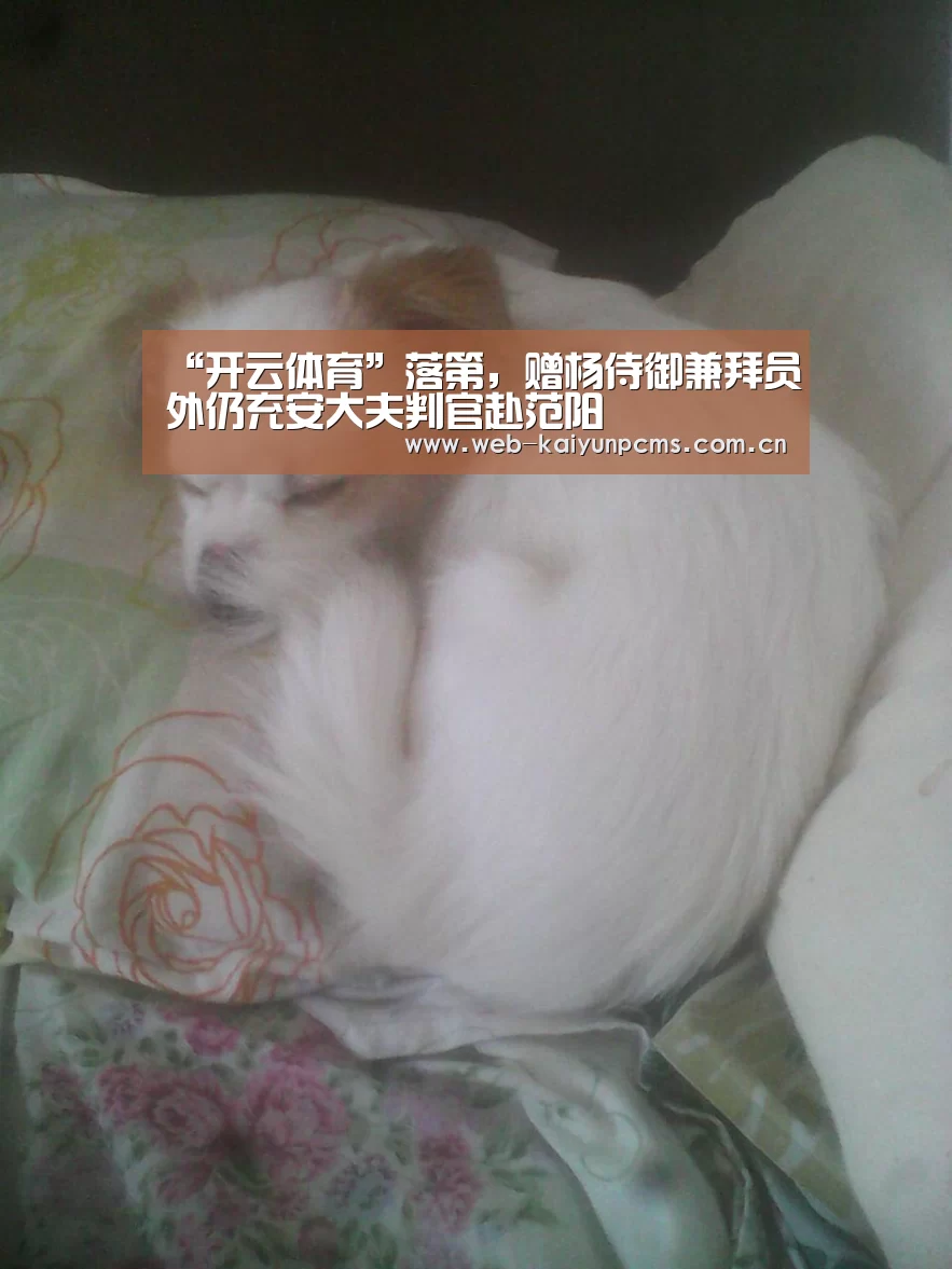 开云体育