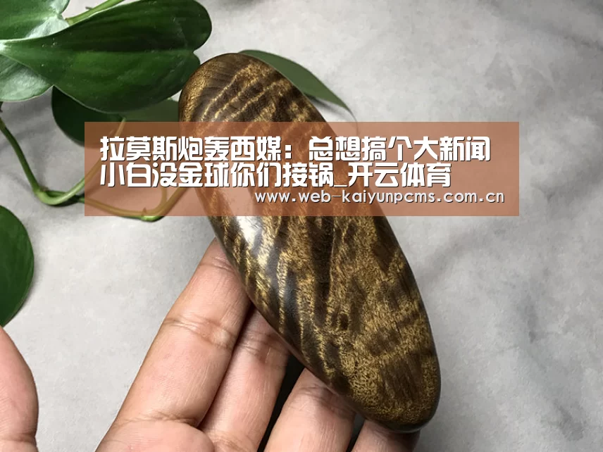 拉莫斯炮轰西媒:总想搞个大新闻 小白没金球你们接锅_开云体育(图3) 开云体育