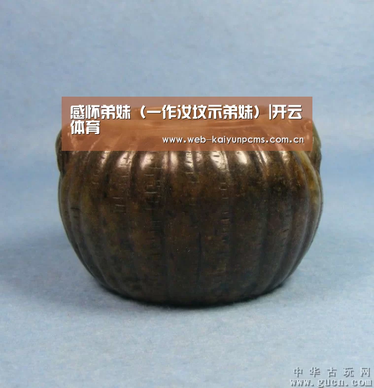 感怀弟妹(一作汝坟示弟妹)|开云体育(图3) 开云体育
