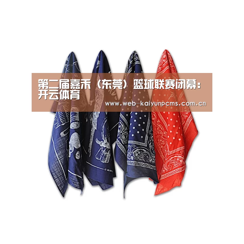 第二届嘉禾(东莞)篮球联赛闭幕:开云体育(图3) 开云体育