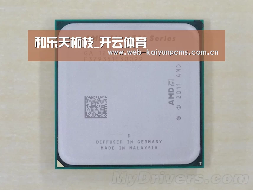 和乐天柘枝_开云体育(图2) 开云体育