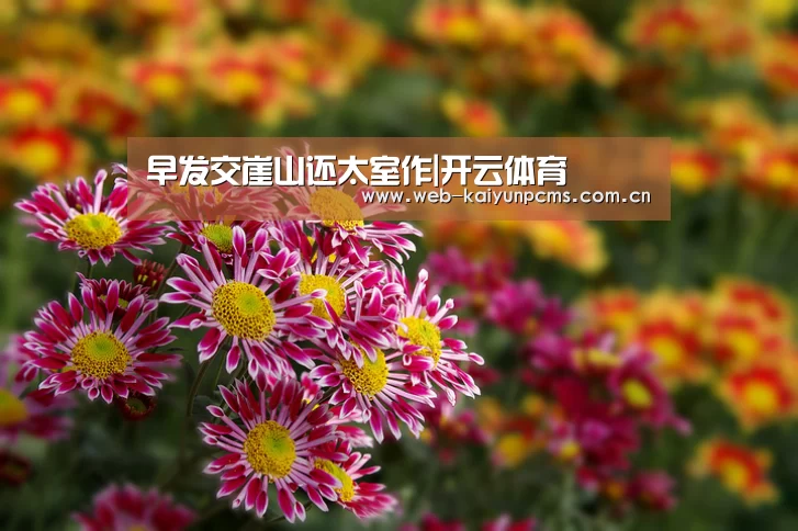 早发交崖山还太室作|开云体育(图1) 开云体育