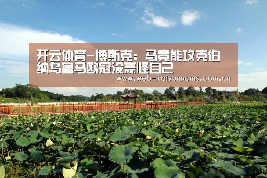 开云体育-博斯克:马竞能攻克伯纳乌皇马欧冠没赢怪自己(图2) 开云体育