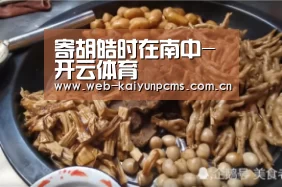 寄胡皓时在南中-开云体育(图1) 开云体育